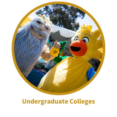 campus-partner_undergraduate.png